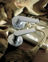 VignetteImage we_glc12 k_26d_v1